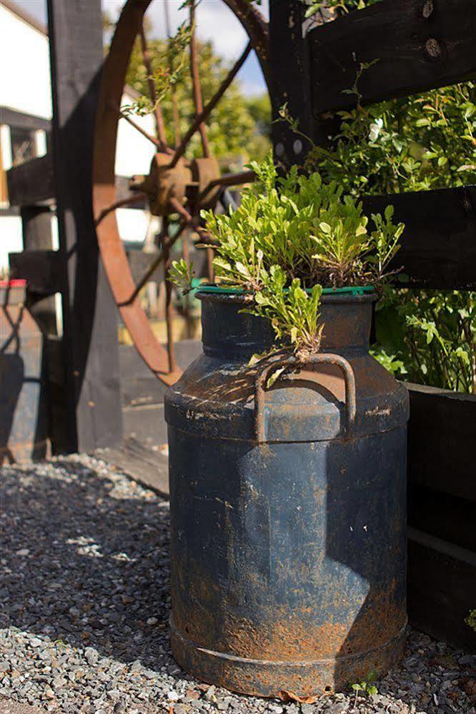 Cambridge Coach House Otel Dış mekan fotoğraf
